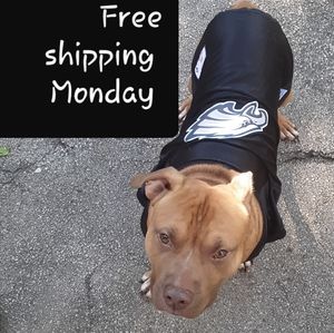 Free shipping Monday